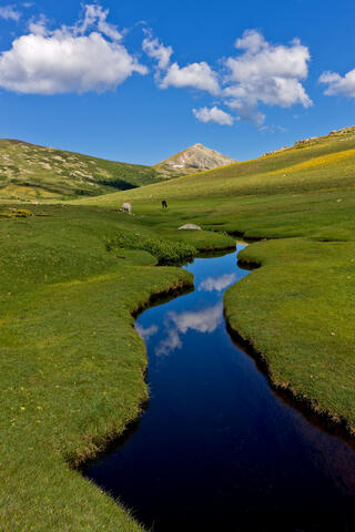 Lac de Nino