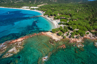 PALOMBAGGIA