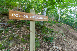Col de Vizzavona