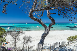 plage de saleccia corse