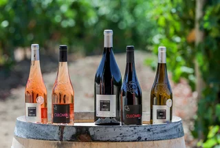 Bouteilles de vin corse