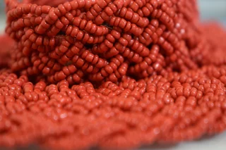 Corail rouge corse