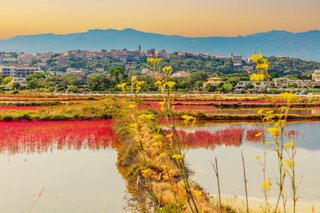 Les salins de Porto-Vecchio