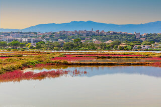 Salins de Porto-Vecchio