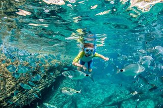 Snorkeling croisière à la journée