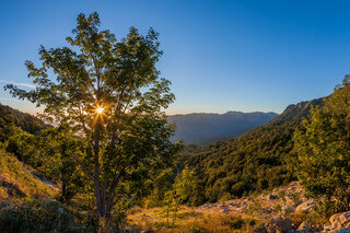 Montagne Corse