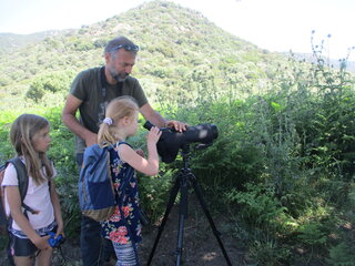 Ornithologie en Corse