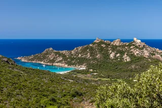 Lion de Roccapina