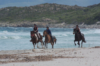 Une balade à cheval sur la plage en Corse