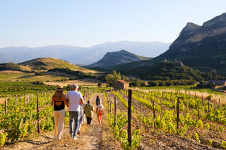 Dégustation de vin à Patrimonio