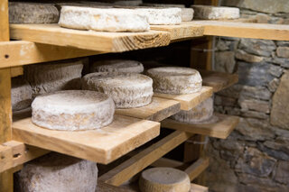 Fromage corse